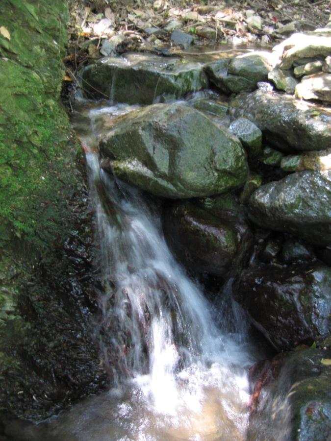 おいしい水の基準を満たす岡垣の地下水を割水に使用